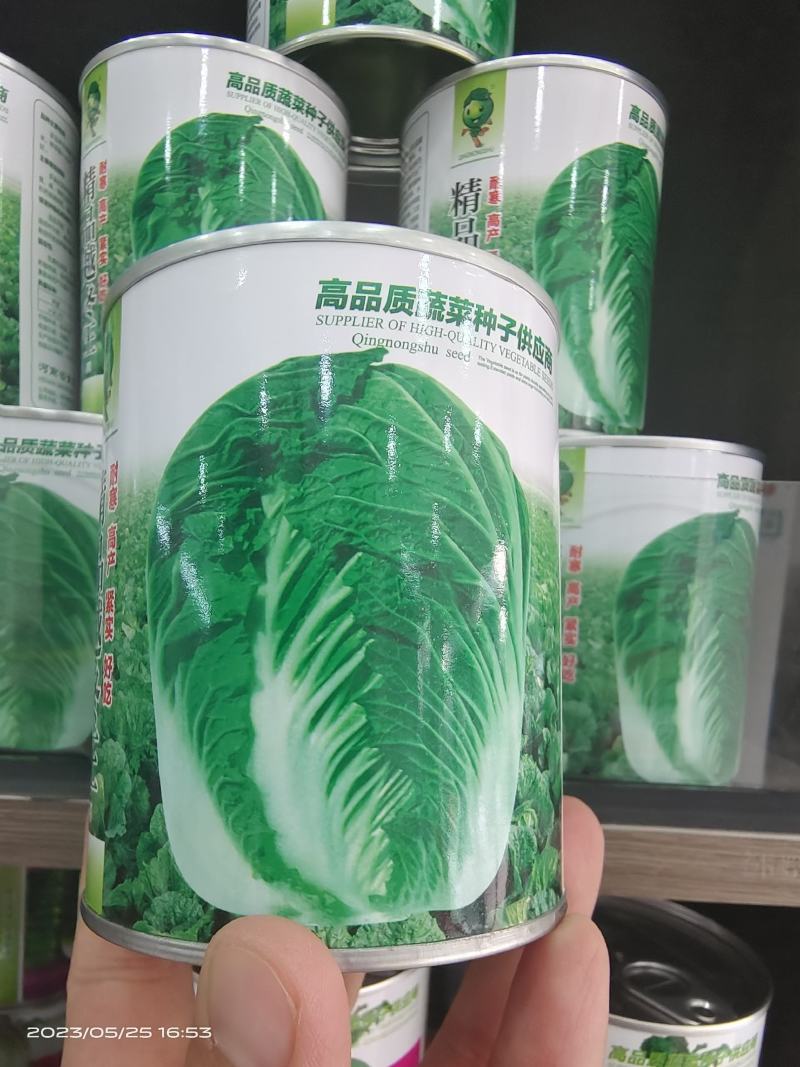 精选越冬大白菜种子高产抗病品质优产量高抗软腐病