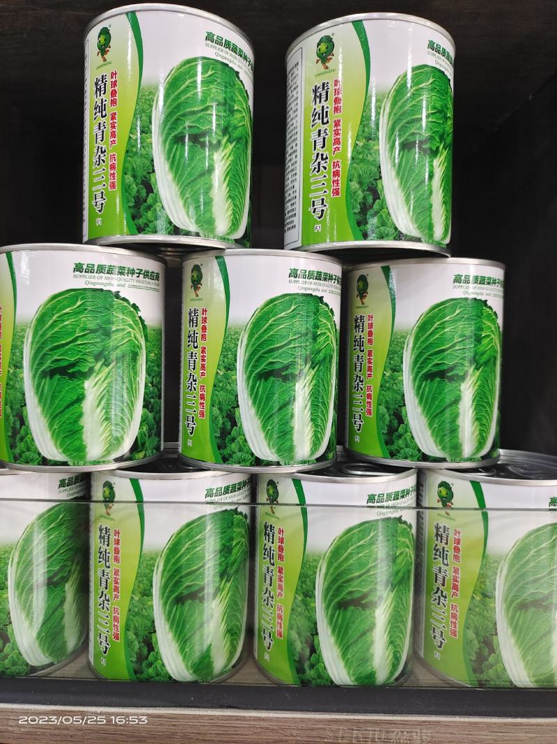 精选越冬大白菜种子高产抗病品质优产量高抗软腐病