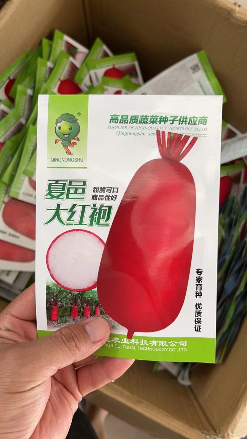 夏邑大红袍萝卜种子红皮白肉耐热耐寒秋播萝卜籽红皮萝卜种子