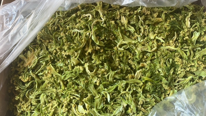 花菜干脱水干花菜农产品土特产