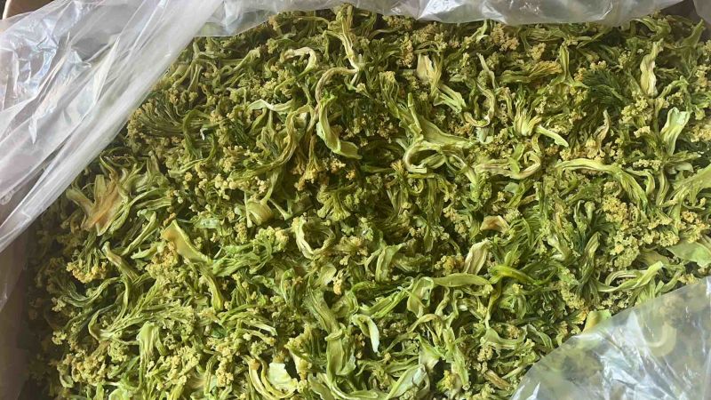 花菜干脱水干花菜农产品土特产