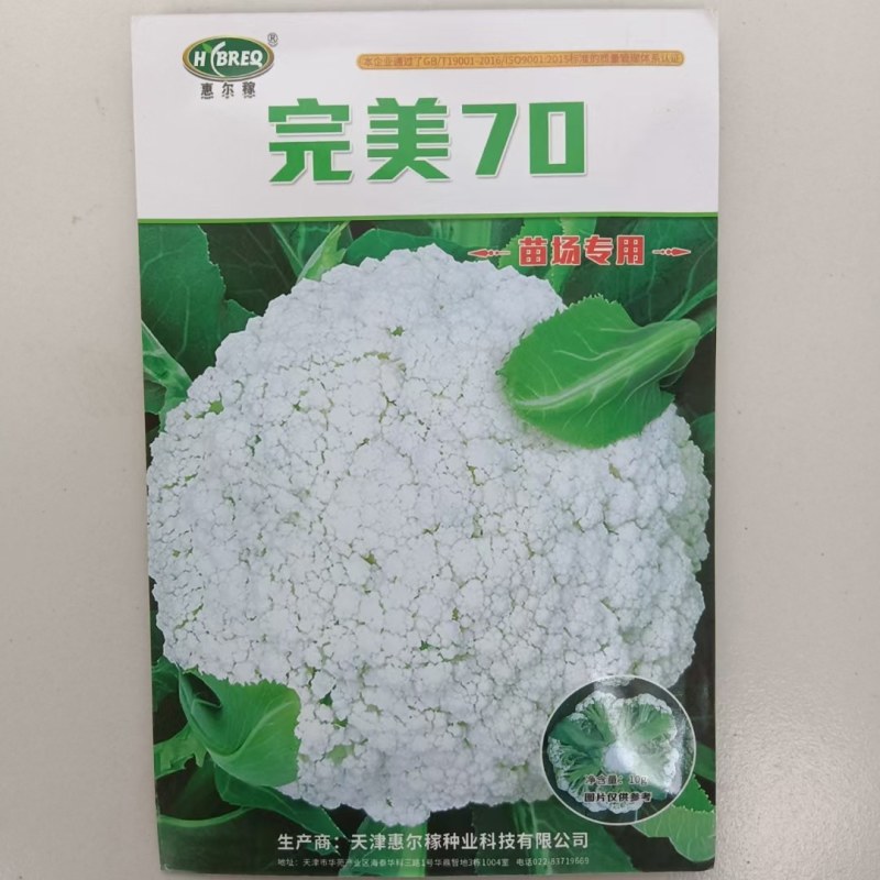 西兰花苗，育苗厂直发，量大从优