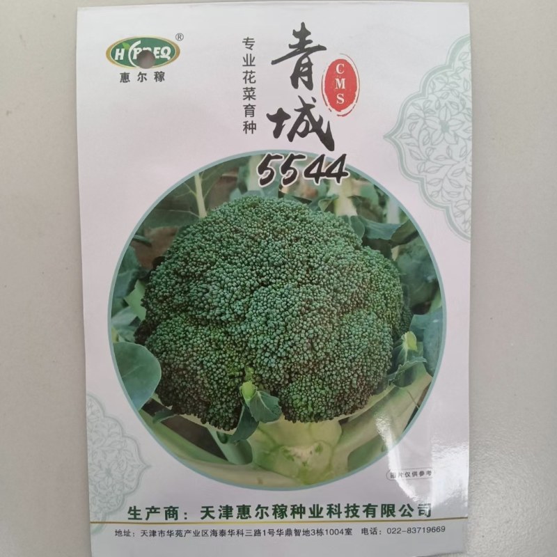 西兰花苗，育苗厂直发，量大从优