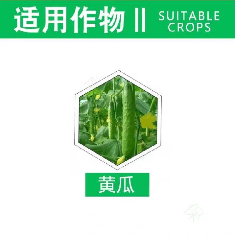 禾本农笑乐45%精甲王铜精甲霜灵黄瓜细菌性角斑病专用农药