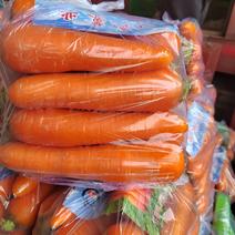 河北邯郸精品红萝卜，货源充足，质量保证，可供商超全国发货