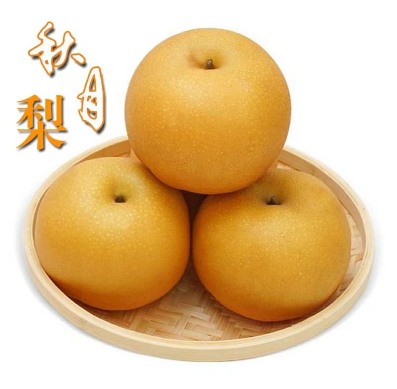 【热销】秋月梨，产地直发，可视频看货，量大从优，价格美丽