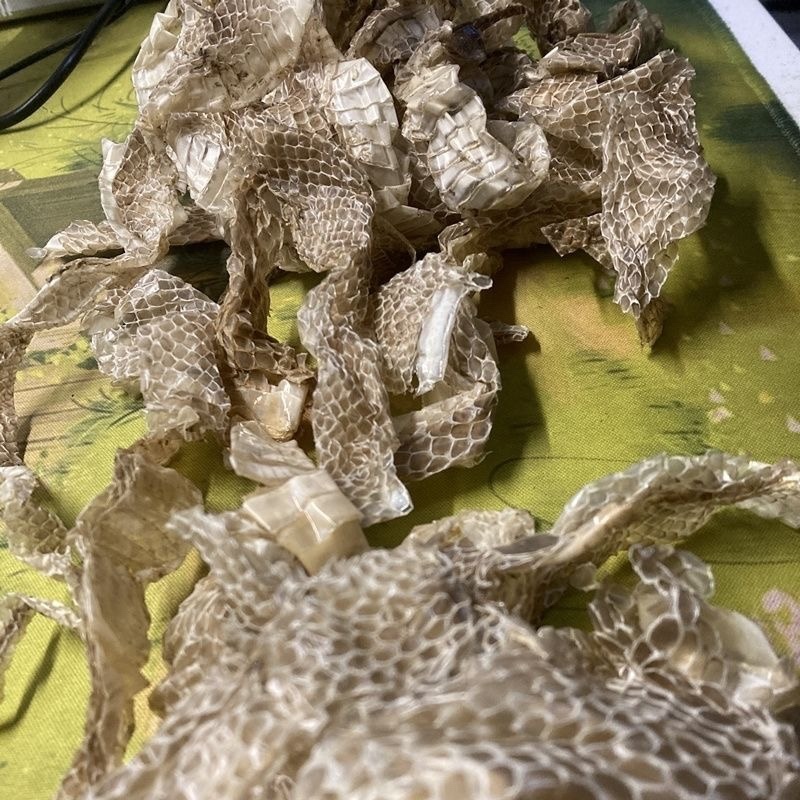 蛇蜕龙衣长虫皮批发零售各种中药材及冷背药材
