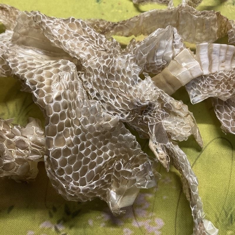蛇蜕龙衣长虫皮批发零售各种中药材及冷背药材
