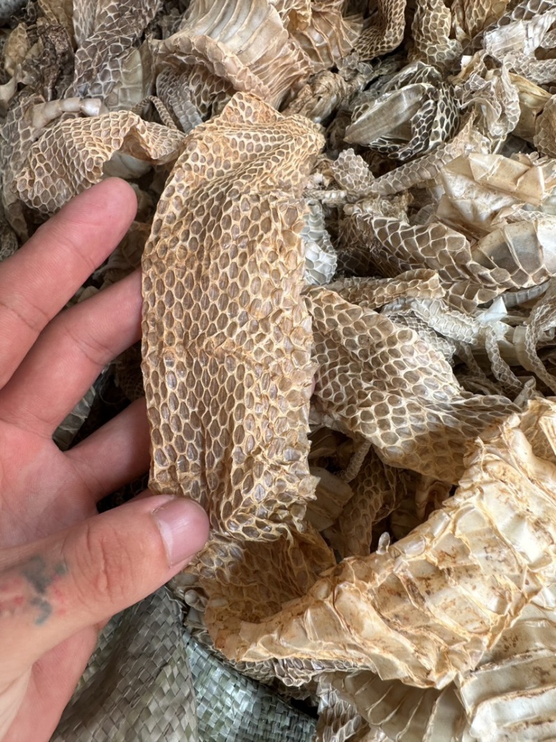 蛇蜕龙衣长虫皮批发零售各种中药材及冷背药材
