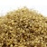 谷芽