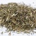 香薷香薷草香茹