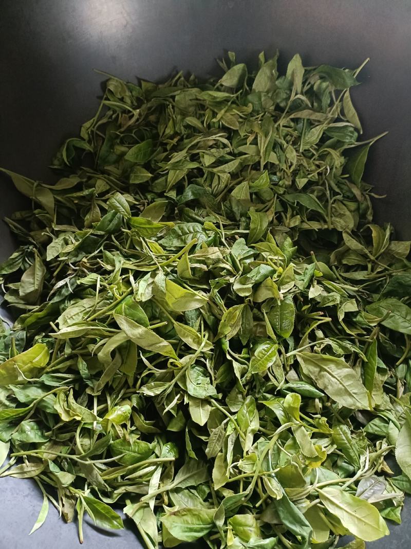 小树茶