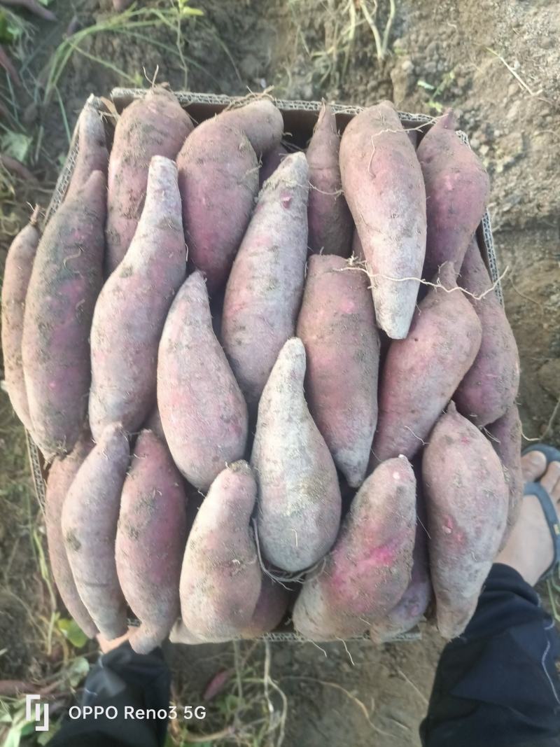 一点红冰淇淋