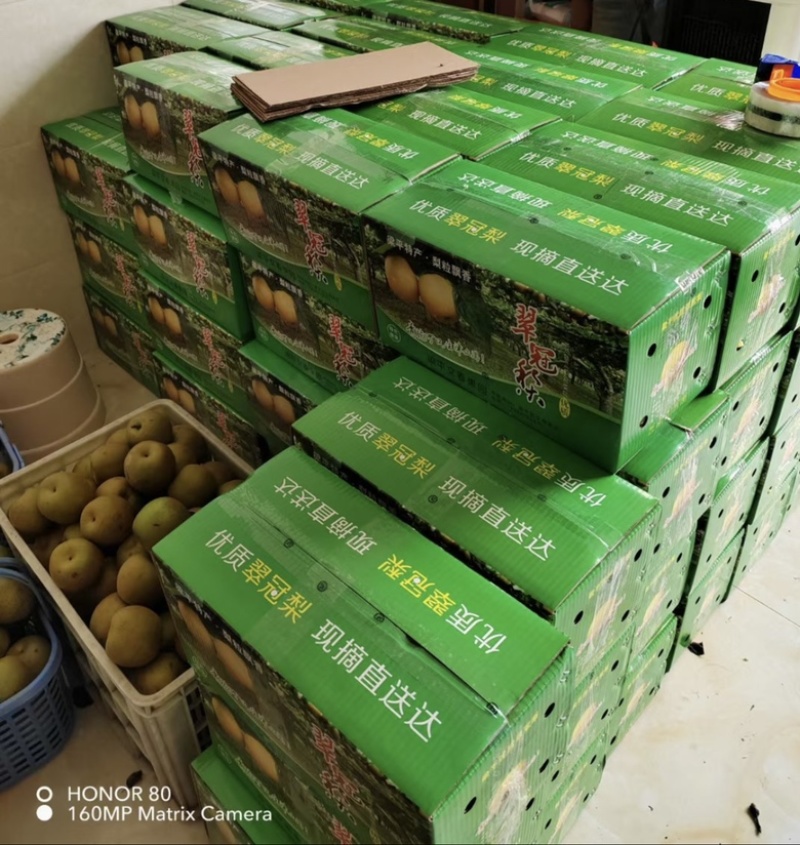 重庆梁平精品翠冠梨，细腻化渣，超甜水分充足，夏日必备