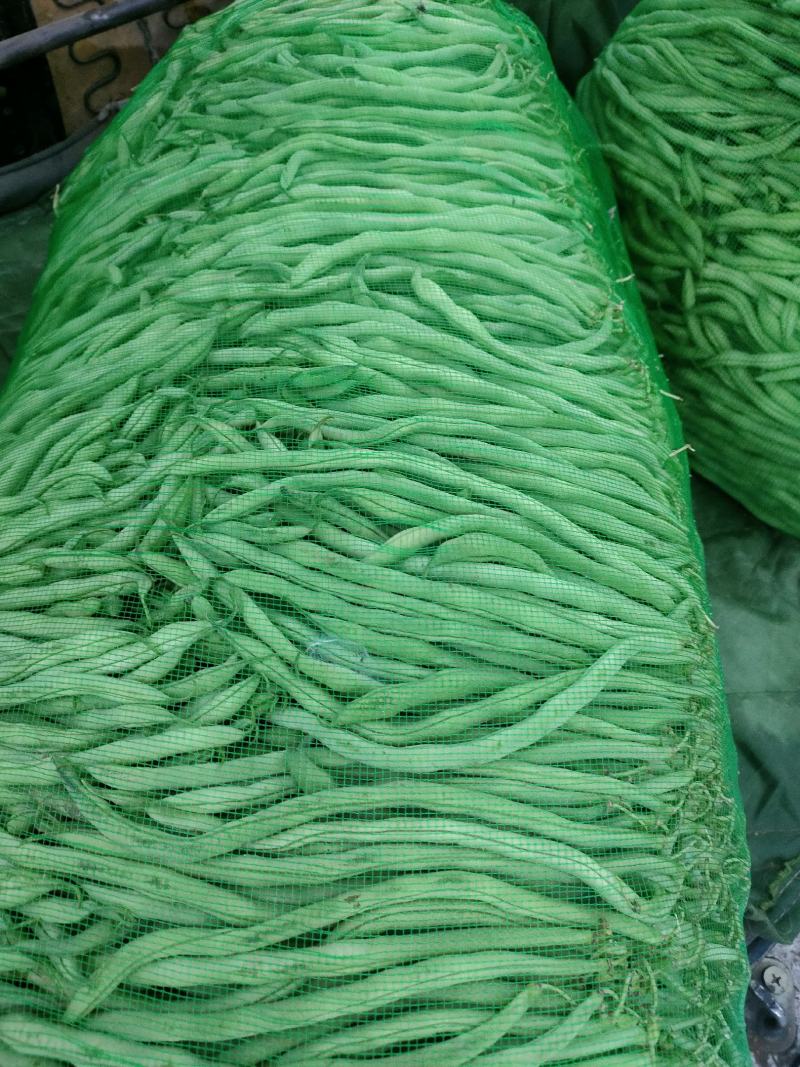 架豆王，架豆，芸豆，陆地大有货，要的联系我