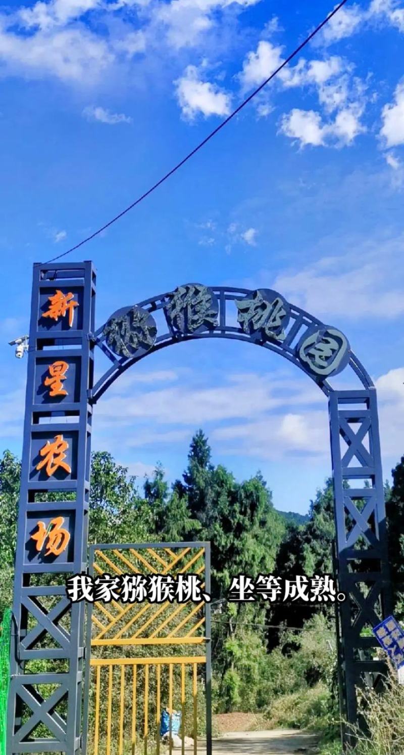 猕猴桃（红心）
