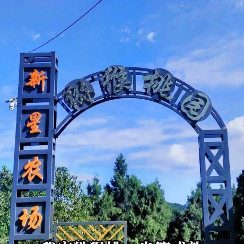猕猴桃（红心）