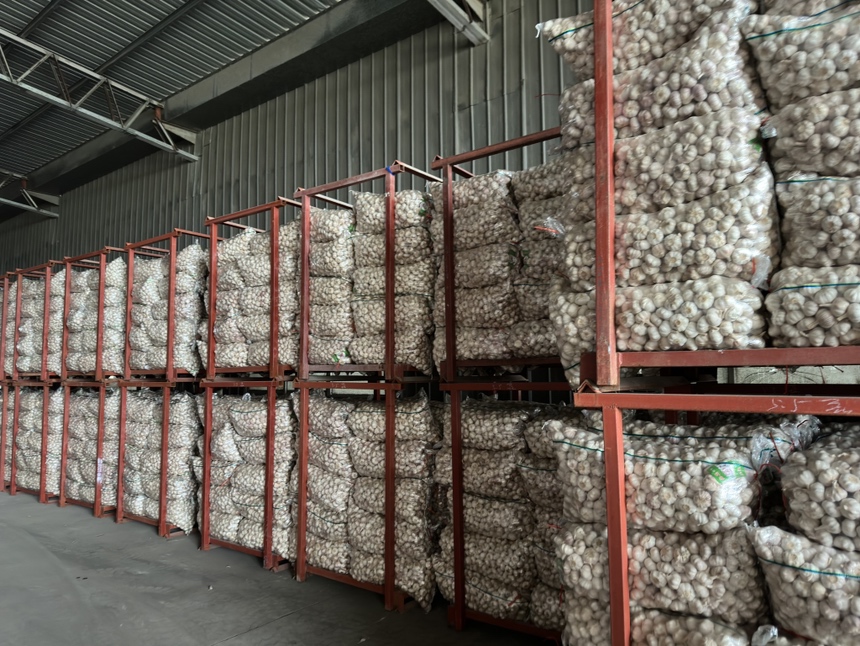 晾干后的大蒜储存方式