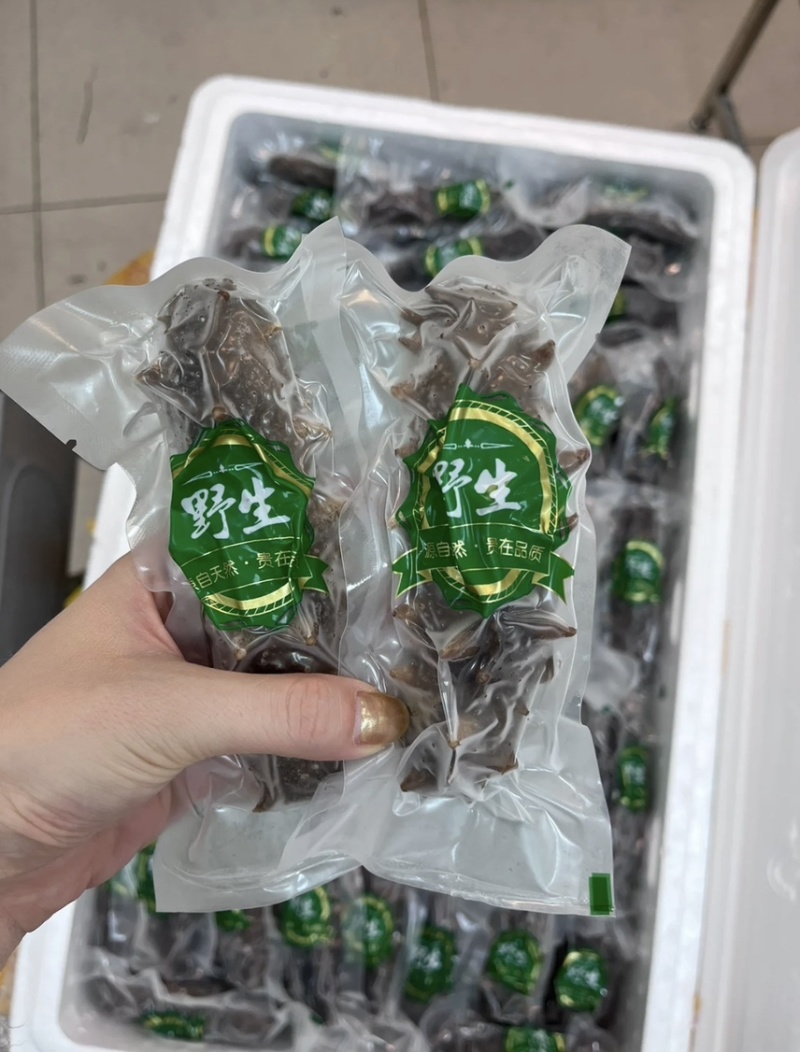 大连冷蒸鲜食海参品质嘎嘎好