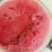 二瓜量大从优