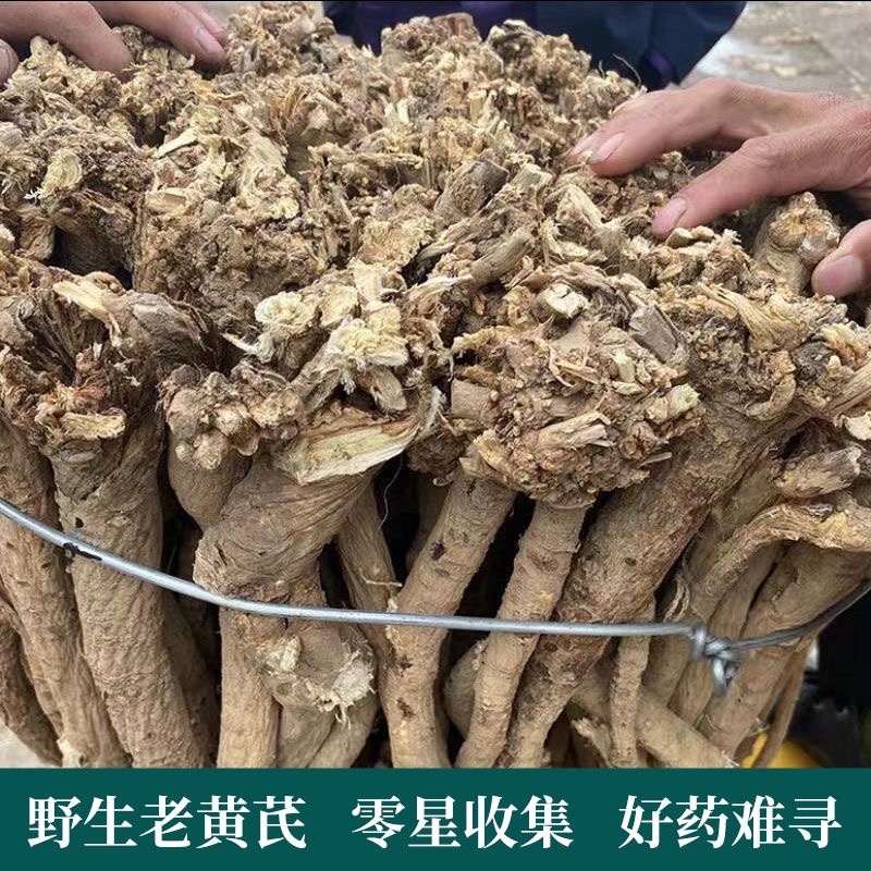 【野生黄芪】深山采挖北芪条野生黄芪北芪条无硫
