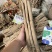【野生黄芪】深山采挖北芪条野生黄芪北芪条无硫