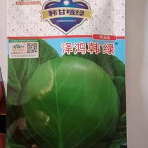 韩绿甘蓝种子全国直发到家物流均可发货