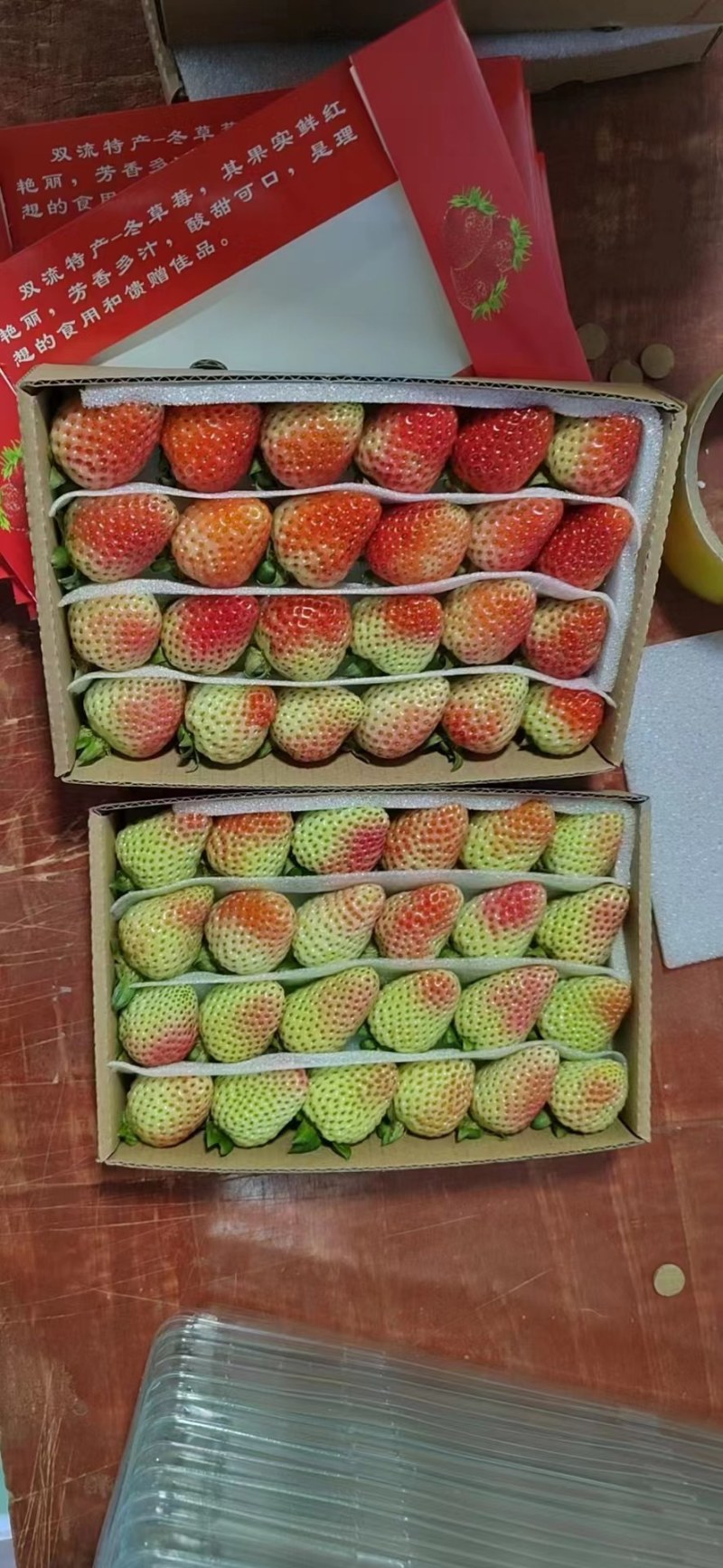 云南四季草莓
