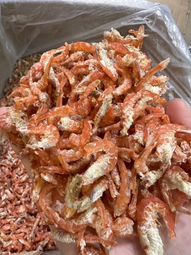 台山小号海米