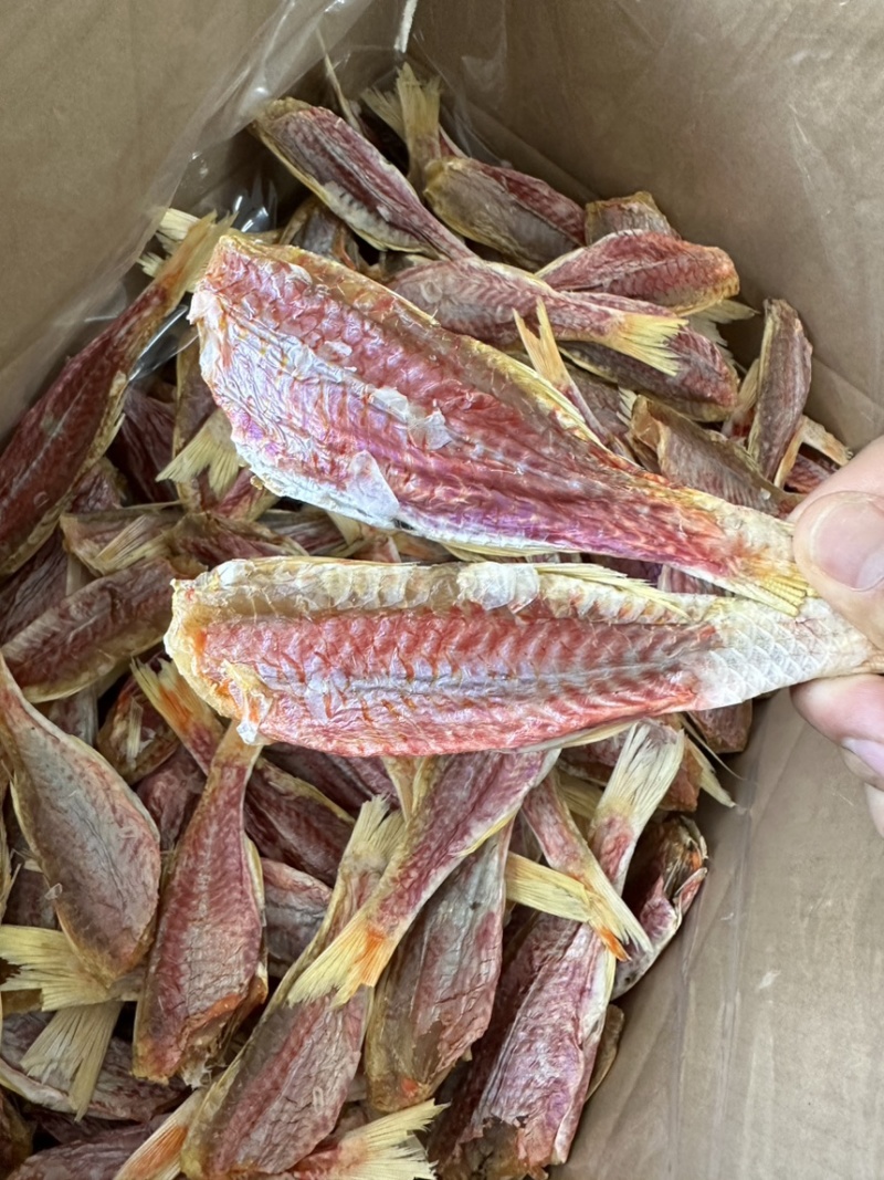 北海红手指鱼干小红鱼红蜡烛电商商超海鲜干货
