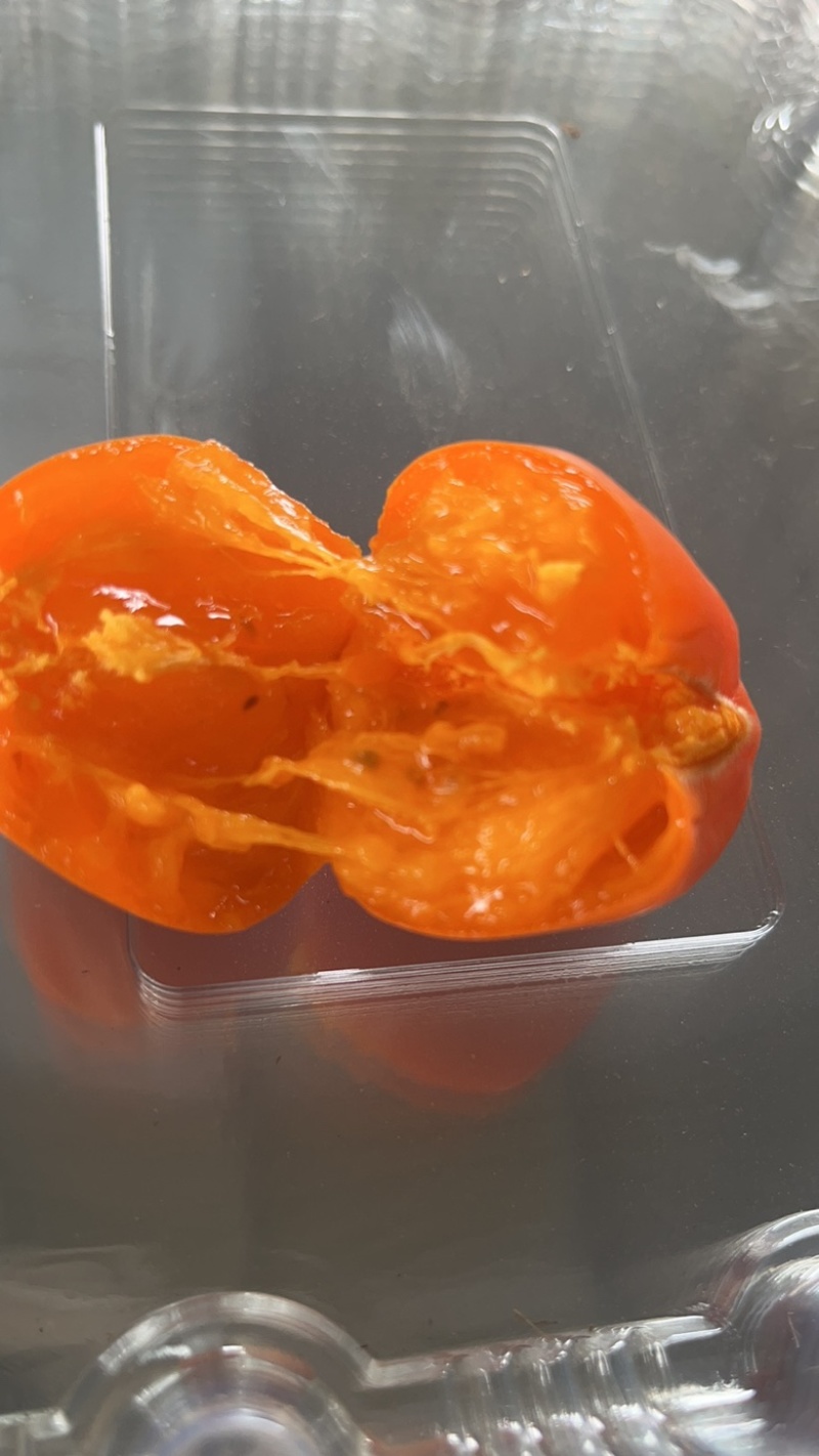 七月黄柿子火晶柿子大量供应产地直发品质保障量大从优