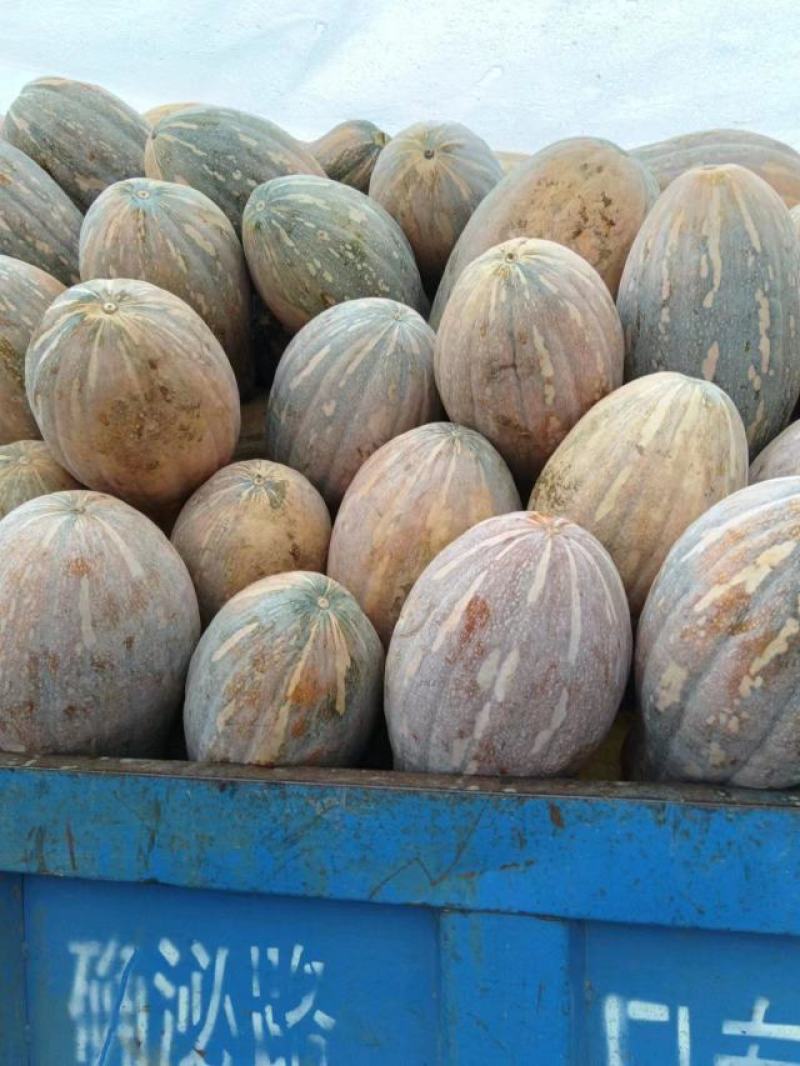 精品蜜本南瓜产地直发量大从优品质保证
