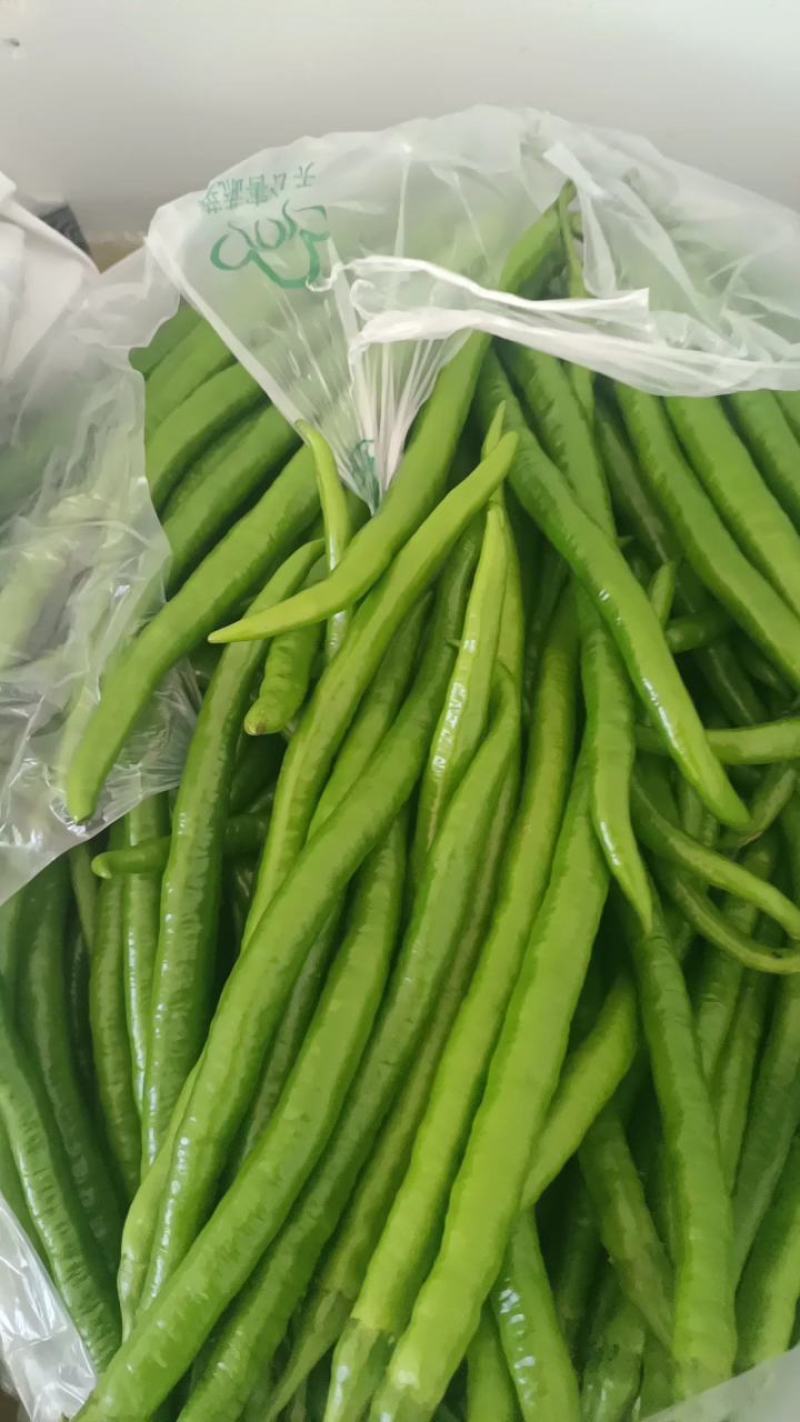 陕西精品青线椒秦岭山中的高山辣椒二荆条产区直发品质保障