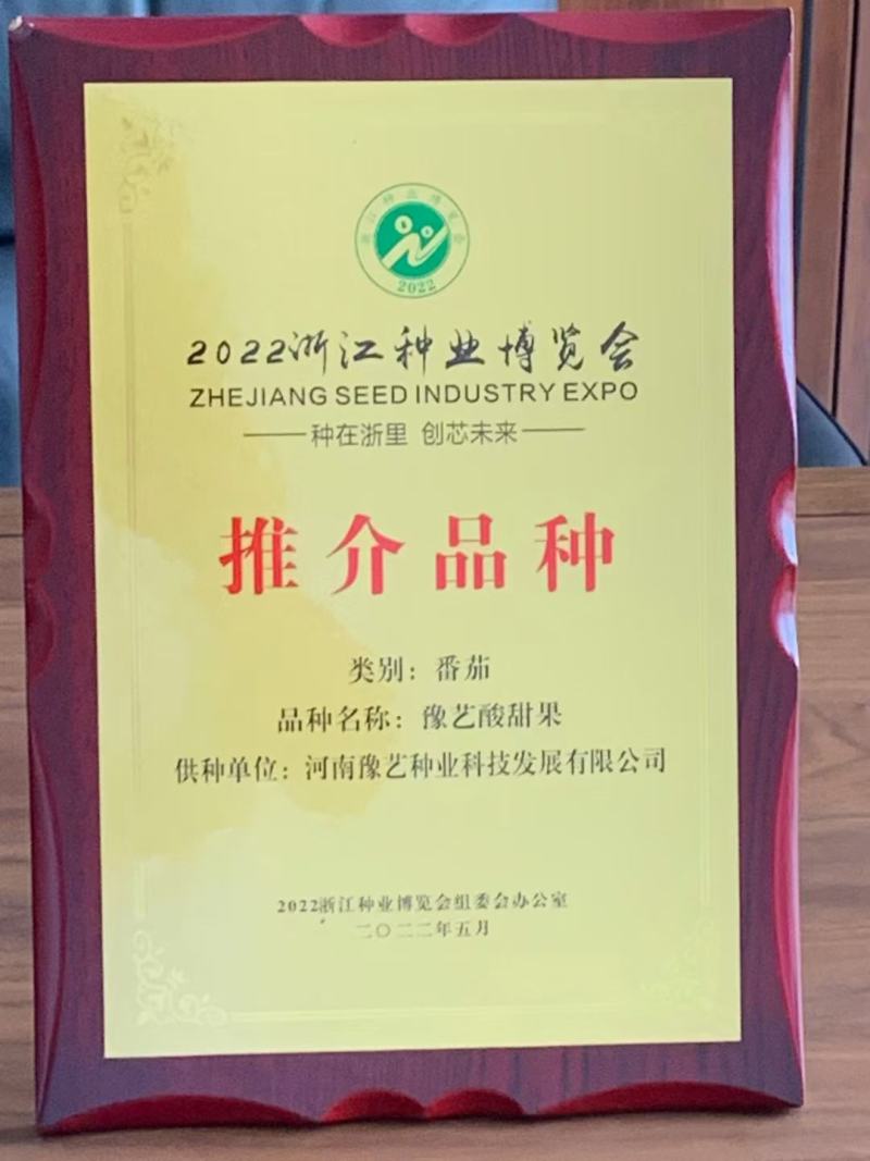 豫艺酸甜果番茄种子~抗病性强糖度12度以上酸甜爽口高品质