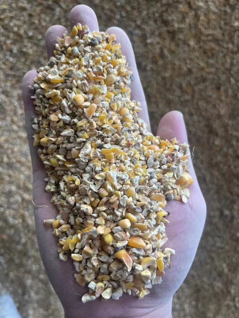 大量出售优质碎玉米，价格便宜，长期有货