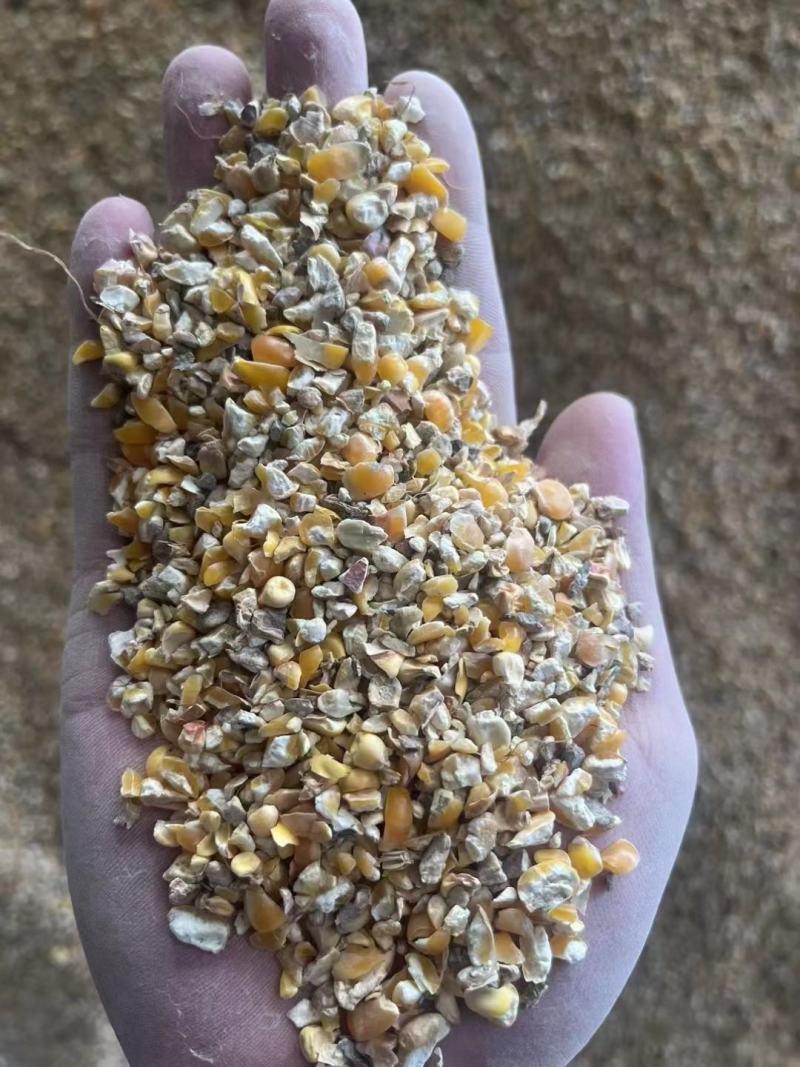 大量出售优质碎玉米，价格便宜，长期有货