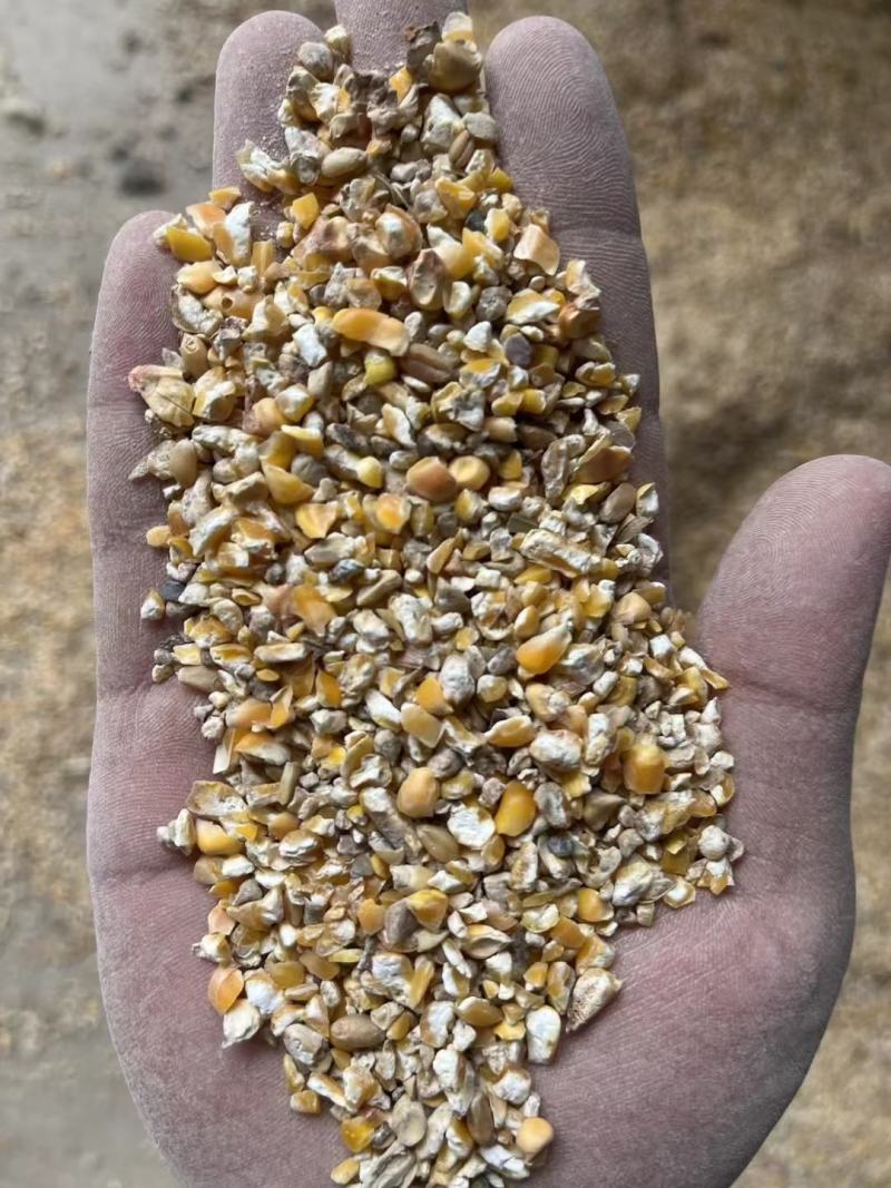 大量出售优质碎玉米，价格便宜，长期有货
