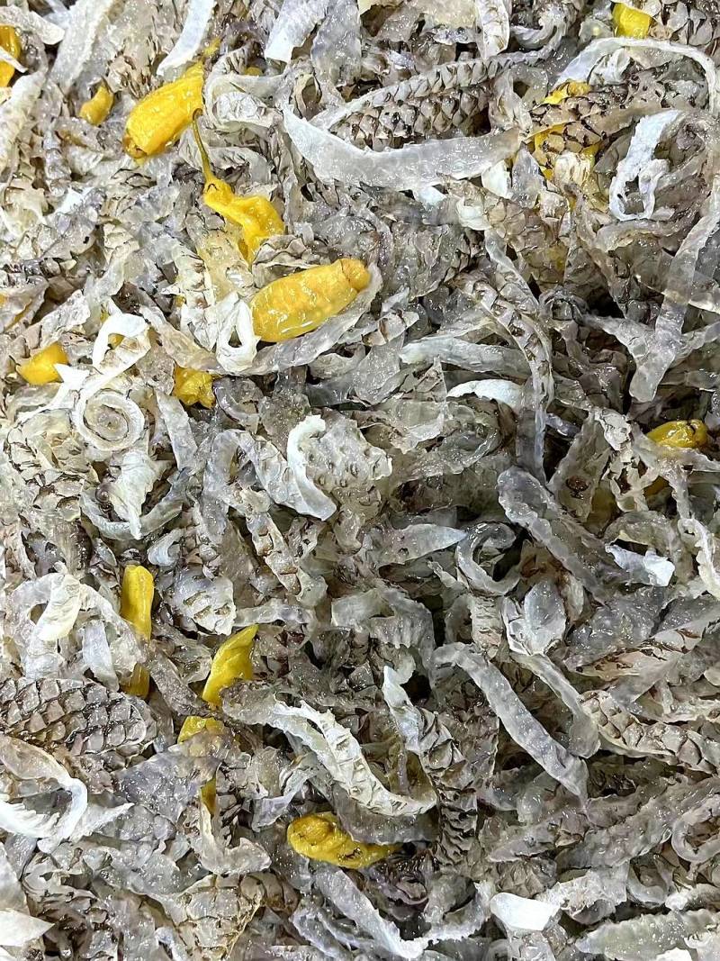 泡椒鱼皮香辣鱼皮麻辣鱼皮即食鱼皮凉菜批发