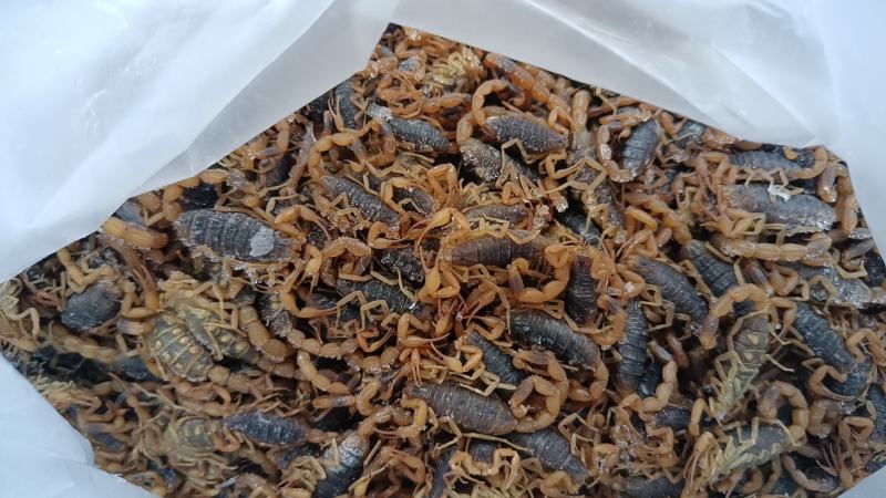 永发全蝎