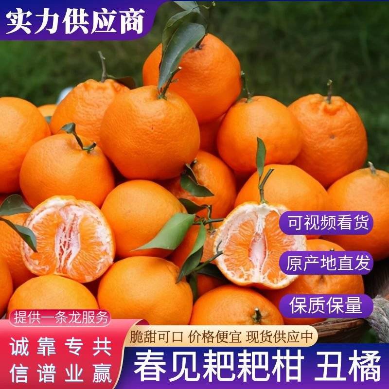 【实力】云南丑橘精品春见耙耙柑皮薄多汁量大从优