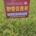 野香优，中国大米品质的标杆，天花板的浓香口感
