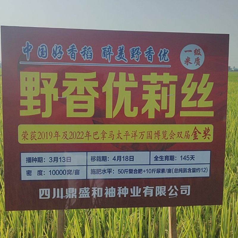 野香优，中国大米品质的标杆，天花板的浓香口感