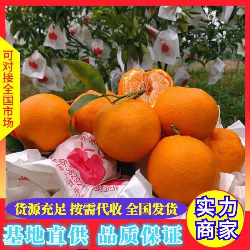 【推荐精品耙耙柑，不知火柑桔丑橘大量上市鲜甜多汁，