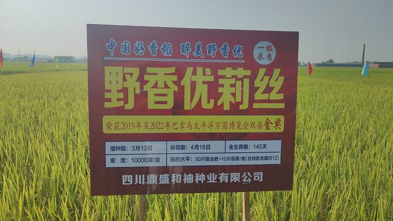 野香优，中国大米品质的标杆，天花板的浓香口感