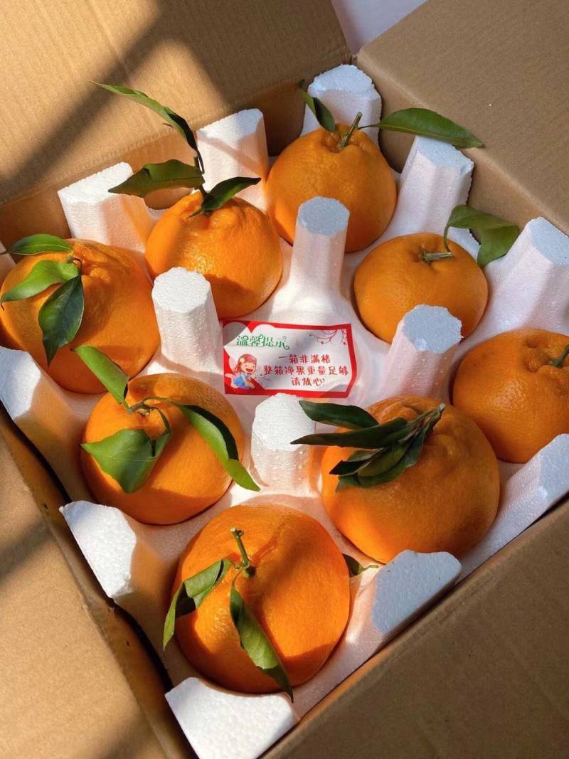 【推荐精品耙耙柑，不知火柑桔丑橘大量上市鲜甜多汁，
