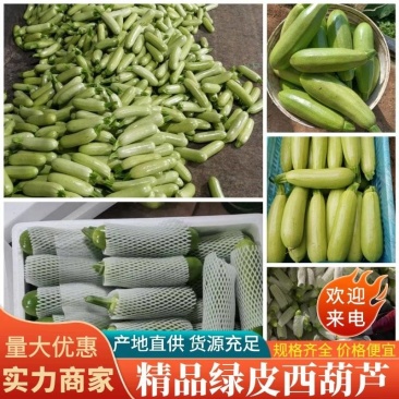 西葫芦云南绿皮西葫芦货源充足产地直供