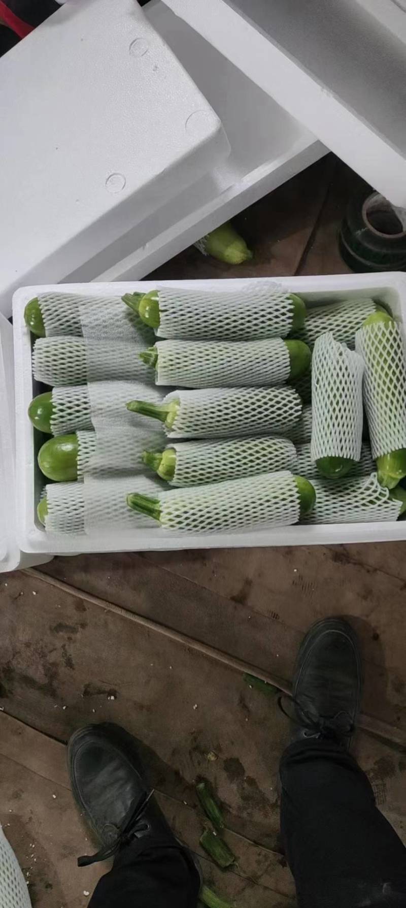 西葫芦云南绿皮西葫芦货源充足产地直供