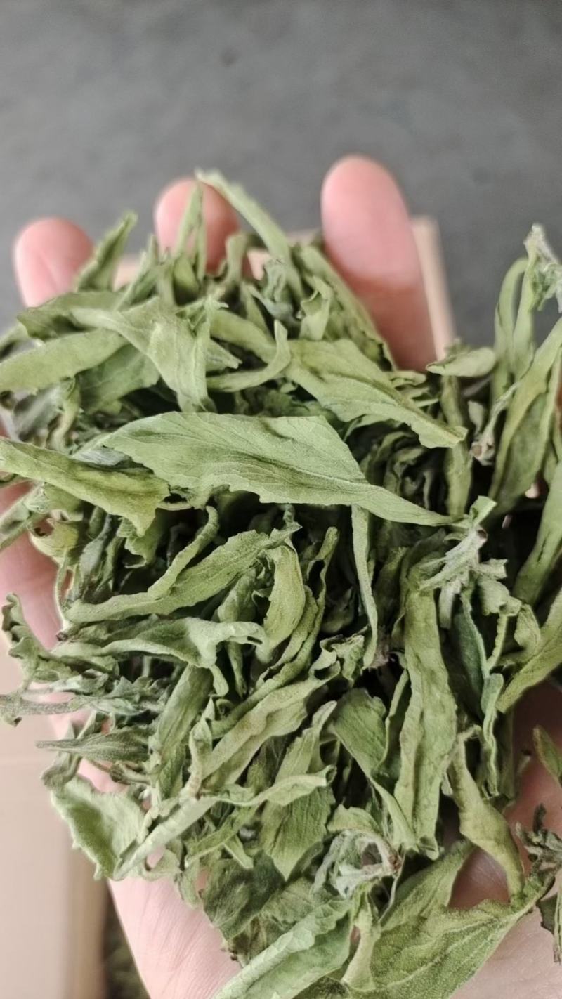 甜叶菊干货甜菊叶泡水级别欢迎选购！