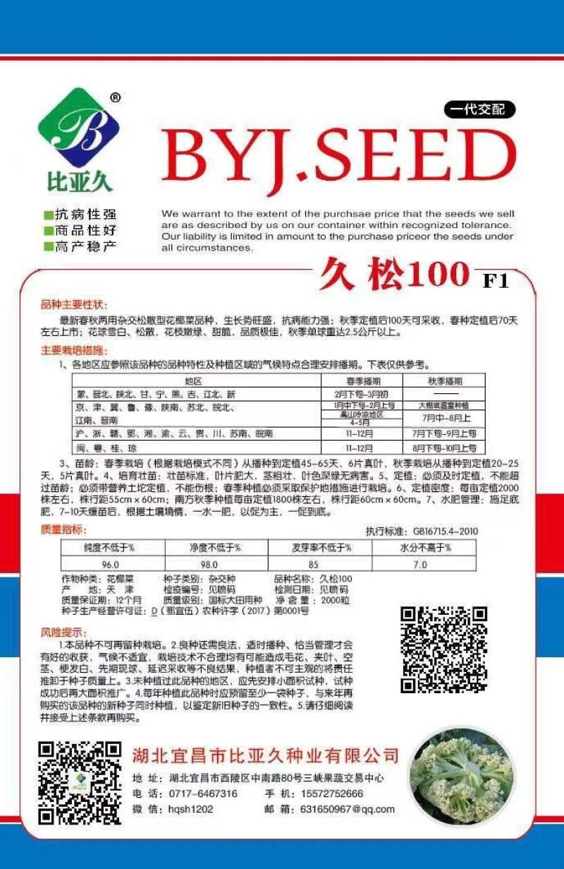 松花菜种子久松90久松100中熟大花球耐寒采收期长