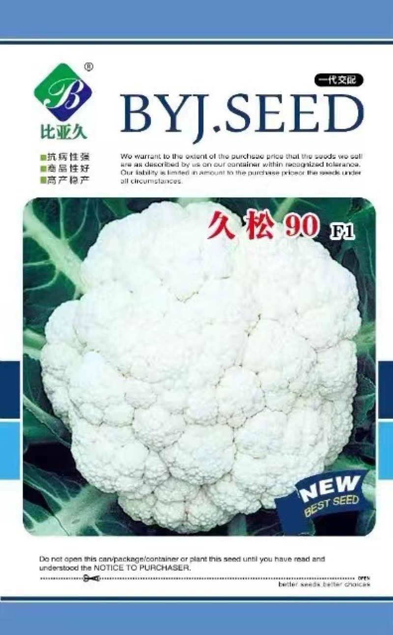 松花菜种子久松90久松100中熟大花球耐寒采收期长